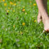 Take a gentle "fart walk"