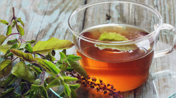 Tulsi leaf tea- the Ayurveda backed beverage