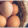 Giving up eggs