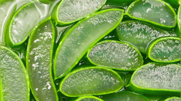 Is aloe vera ice cube better than aloe vera gel?