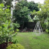 ​The Garden