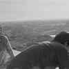 ​‘Pratidwandi’ (1970)