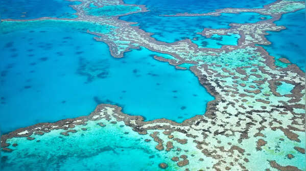 Experience the Great Barrier Reef