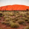 Visit Uluru
