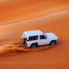 Desert Safari