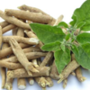 Use ashwagandha to its best potential