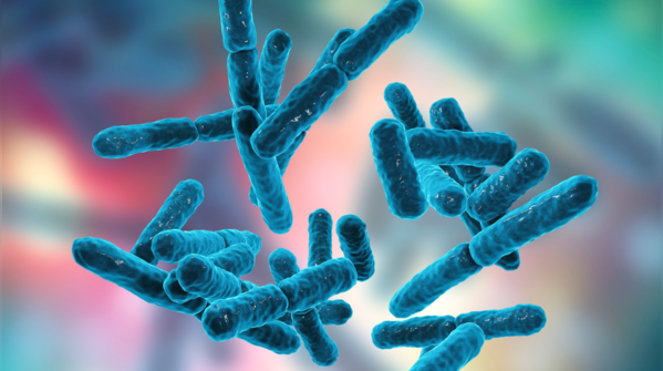 Probiotics