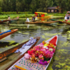 Dal Lake Floating Market, India