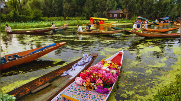 Dal Lake Floating Market, India