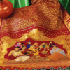 The power of the pallu