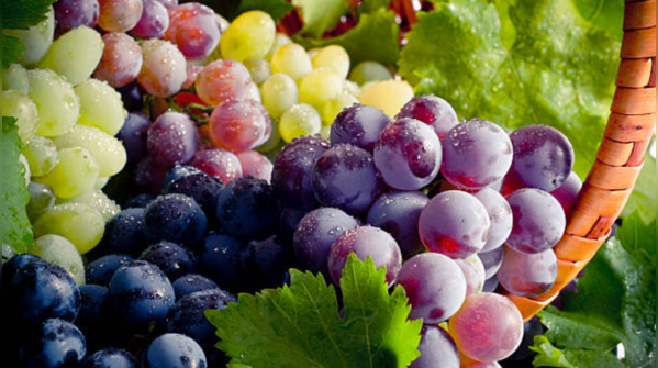 Berries and grapes