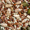 Seeds