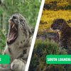 Hemis National Park vs. South Luangwa