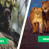 Nagarhole vs. Hwange