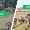 Periyar Wildlife Sanctuary vs. Amboseli