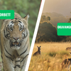 Jim Corbett vs. Okavango Delta