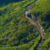 Munnar, India