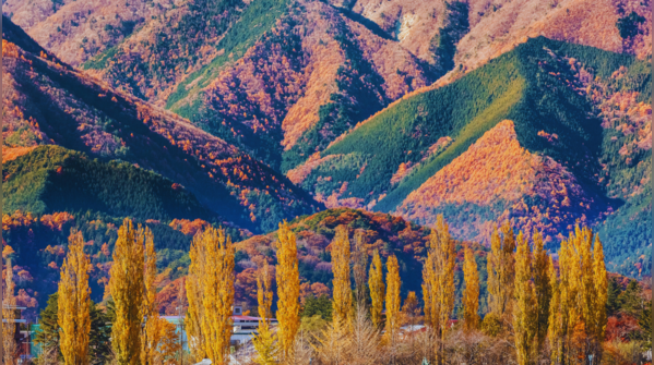 Fujikawaguchiko, Japan
