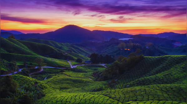 The great escape 2025: Asia’s 8 best rural retreats, including one in India