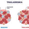 What is Alpha Thalassemia?