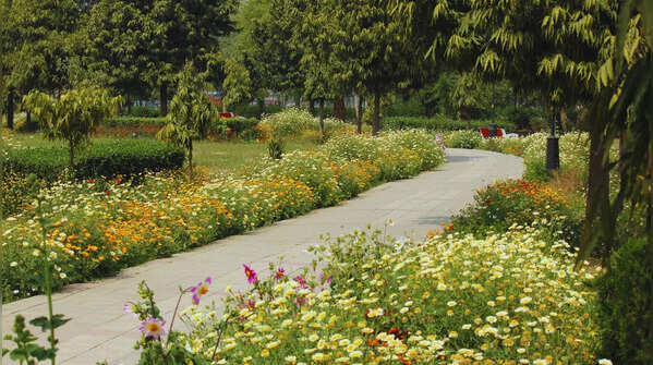 Buddha Jayanti Park