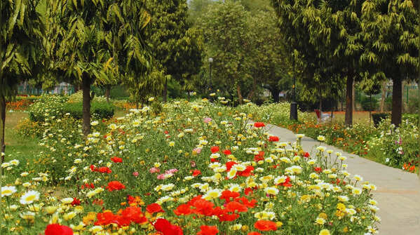 Japanese Park (Swarn Jayanti Park)