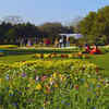 Nehru Park