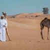 Abu Dhabi Desert Safari