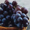 Kyoho Grapes (Japan)