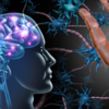 Brain fog and confusion
