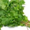 Coriander (Dhania)