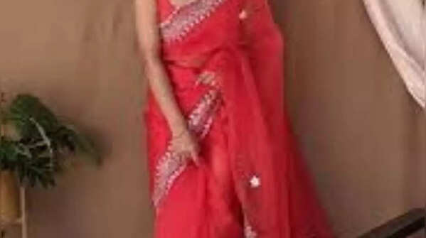 Deep-coloured organza or satin saree