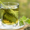 Nettle leaf tea
