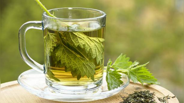 Nettle leaf tea