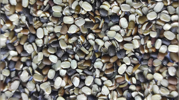 Urad dal
