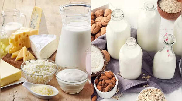 High saturated fat and some dairy fats