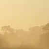 Being in dusty environments- Asthma