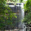 Mallela Theertham Waterfall