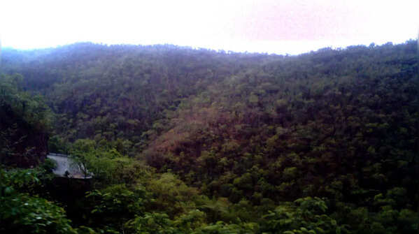 Nallamala Hills