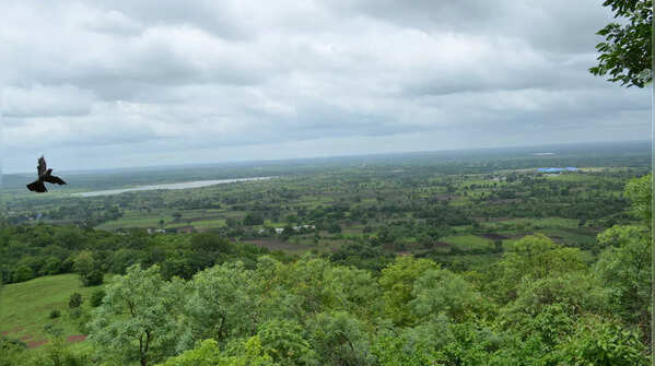 Ananthagiri Hills