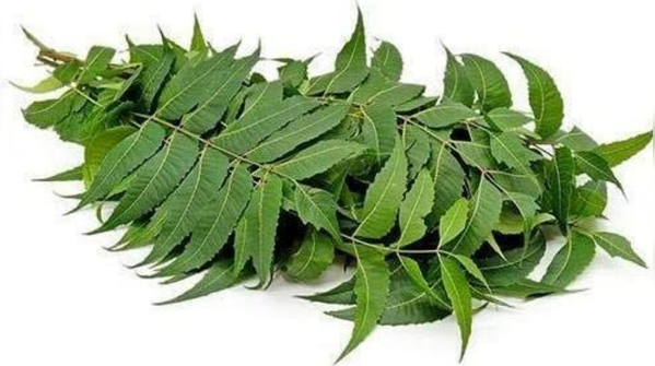 Neem