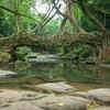 Article image for: Living Root Bridges, Meghalaya, India