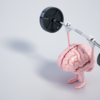 A shield against Alzheimer’s and brain ageing