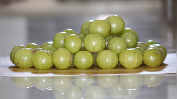 Amla oil