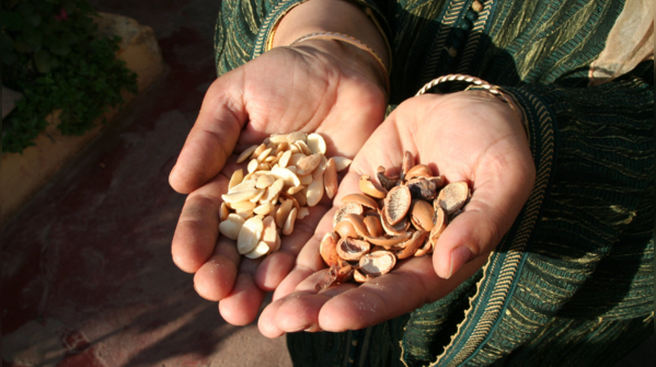 Argan oil