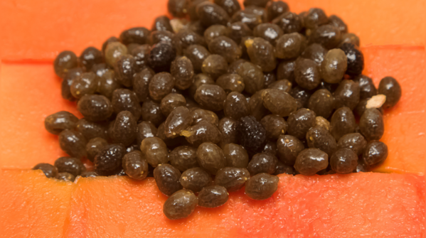How to eat papaya seeds properly
