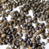 Other health benefits of papaya seeds