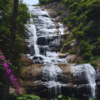 Bear Shola Falls