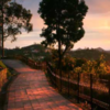 Coaker’s Walk