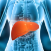 Digestive issues linked to liver health